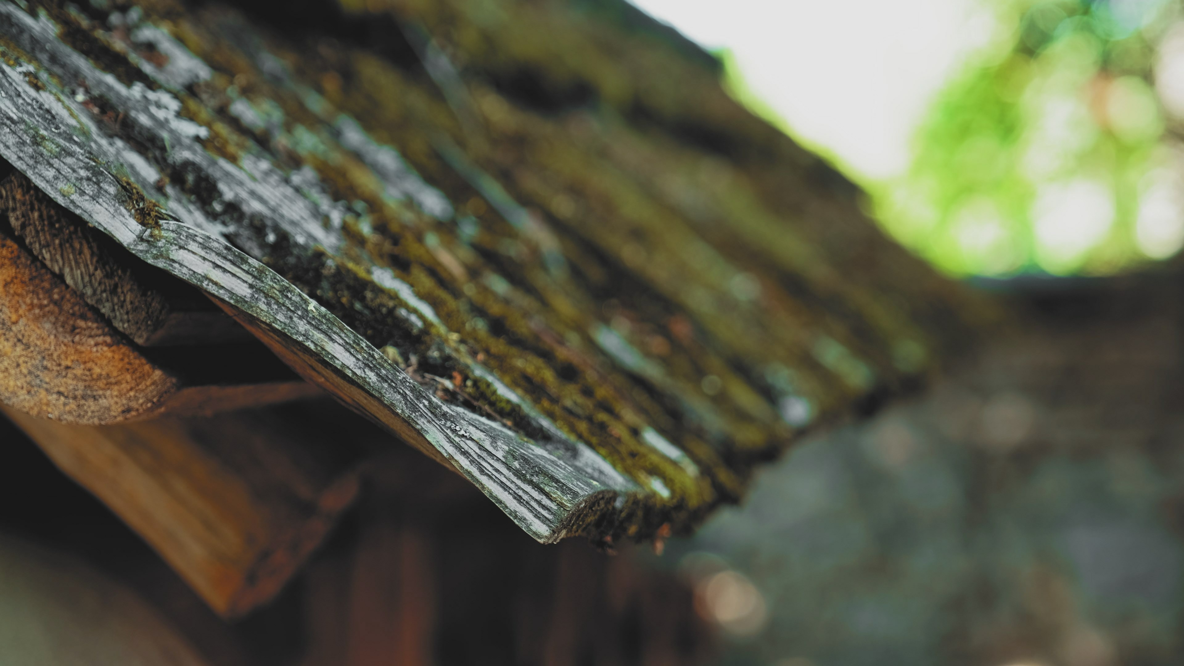 7 signs you need a new roof